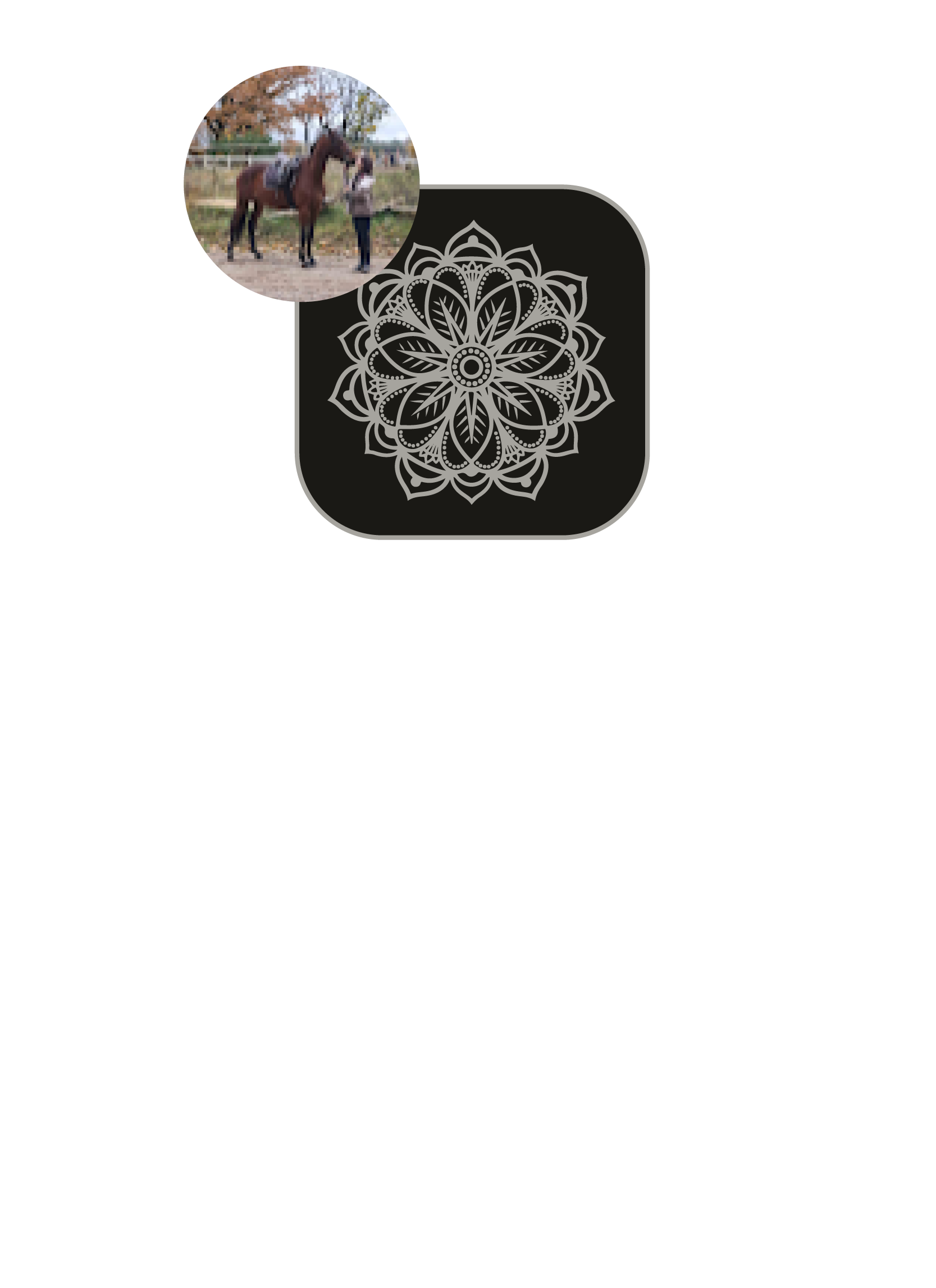 testimonials 2025-06