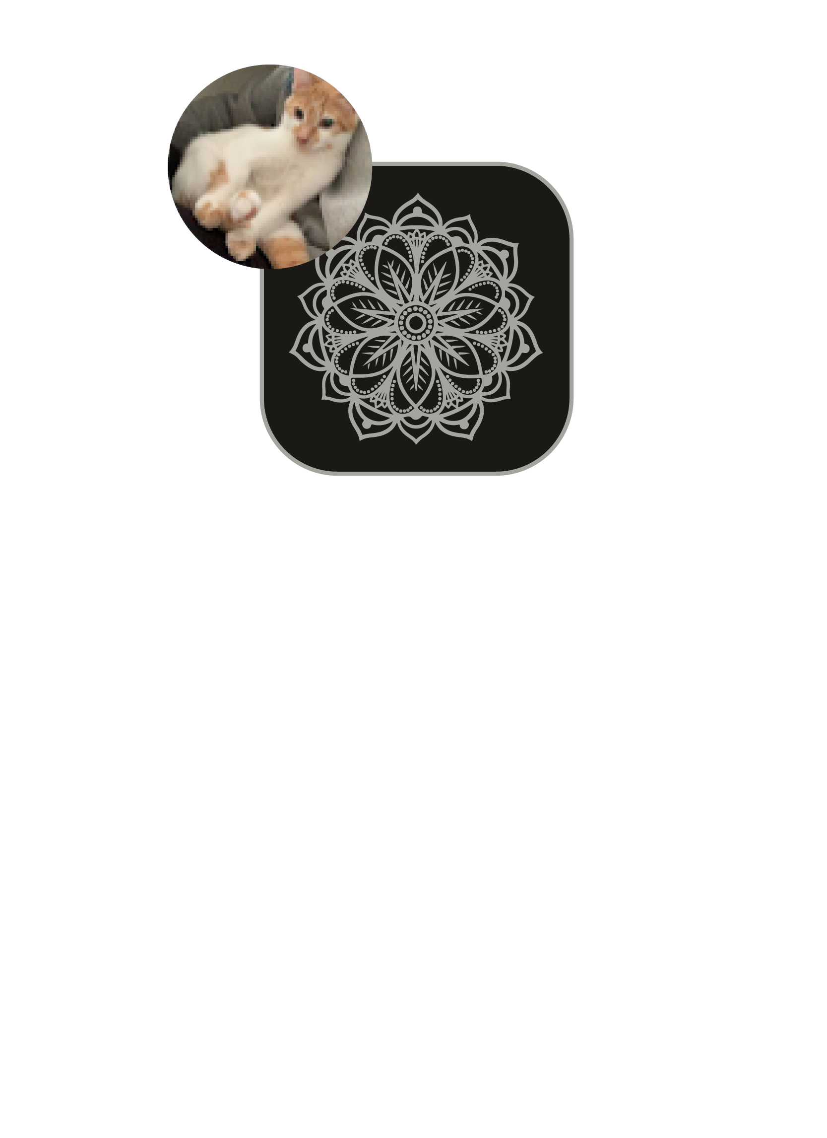 testimonials 2025-13