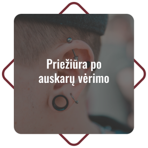klasifikacija (prieziura)-01